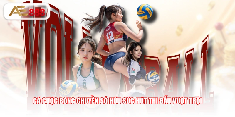 Cá cược bóng chuyền sở hữu sức hút thi đấu vượt trội
