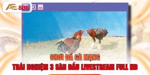 Chơi Đá Gà Mạng - Trải Nghiệm 3 Sàn Đấu Livestream Full HD