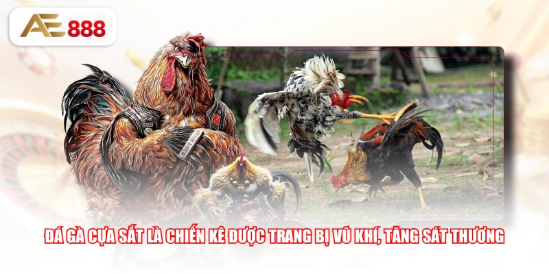 Đá gà cựa sắt là chiến kê được trang bị vũ khí, tăng sát thương