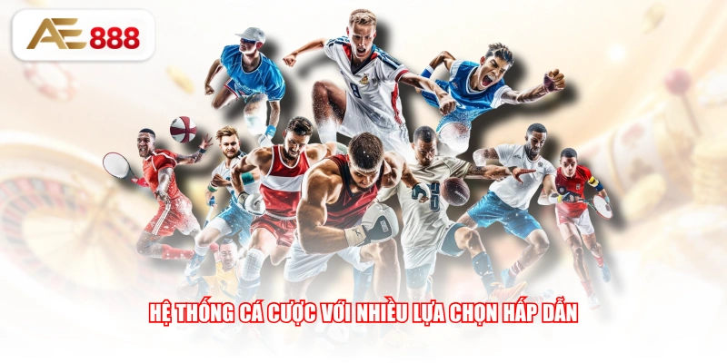 Hệ thống cá cược với nhiều lựa chọn hấp dẫn