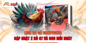 Lịch Đá Gà Campuchia - Cập Nhật 2 Bồ 67 Và 999 Mỗi Ngày