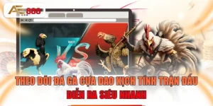Theo Dõi Đá Gà Cựa Dao Kịch Tính Trận Đấu Diễn Ra Siêu Nhanh