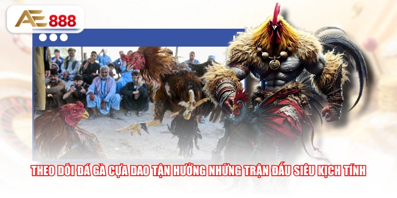 Theo dõi đá gà cựa dao tận hưởng những trận đấu siêu kịch tính